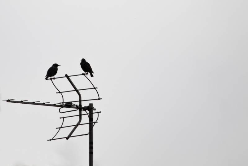 Dépannage express d’une antenne TNT après tempête ou vent fort à Aix-en-Provence